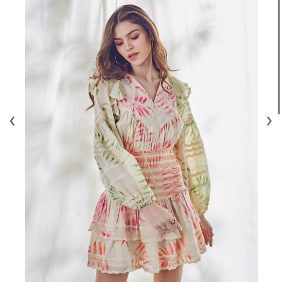 Hemanta & nandita dream dress - Picture 9 of 10